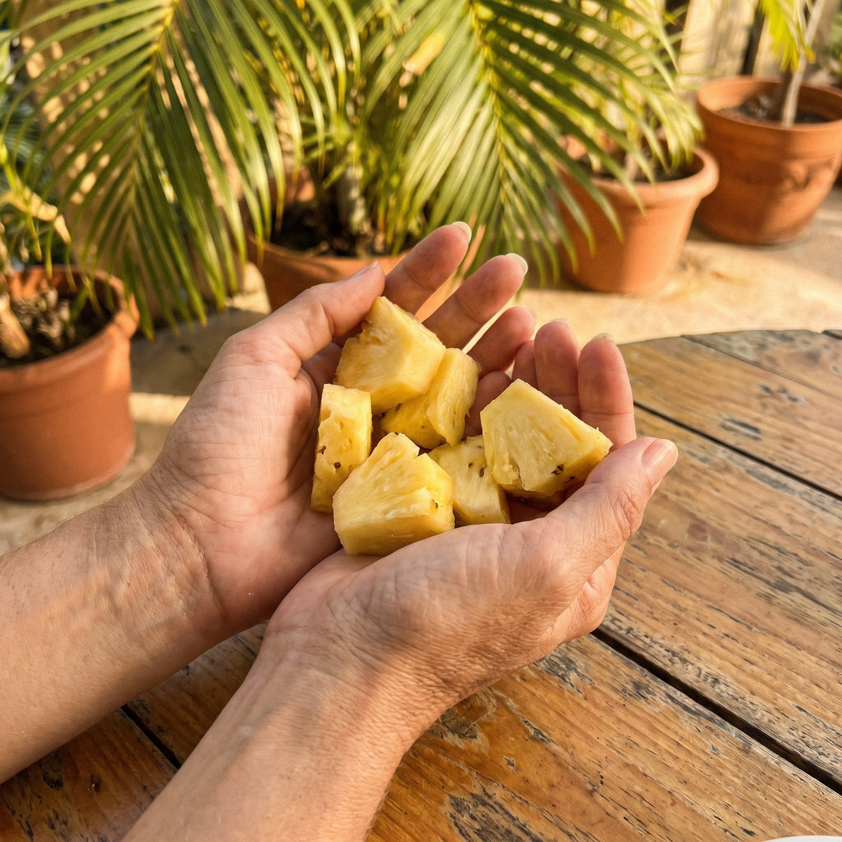 Pineapple Extract